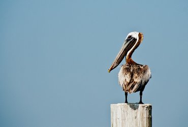 Tide and Trail