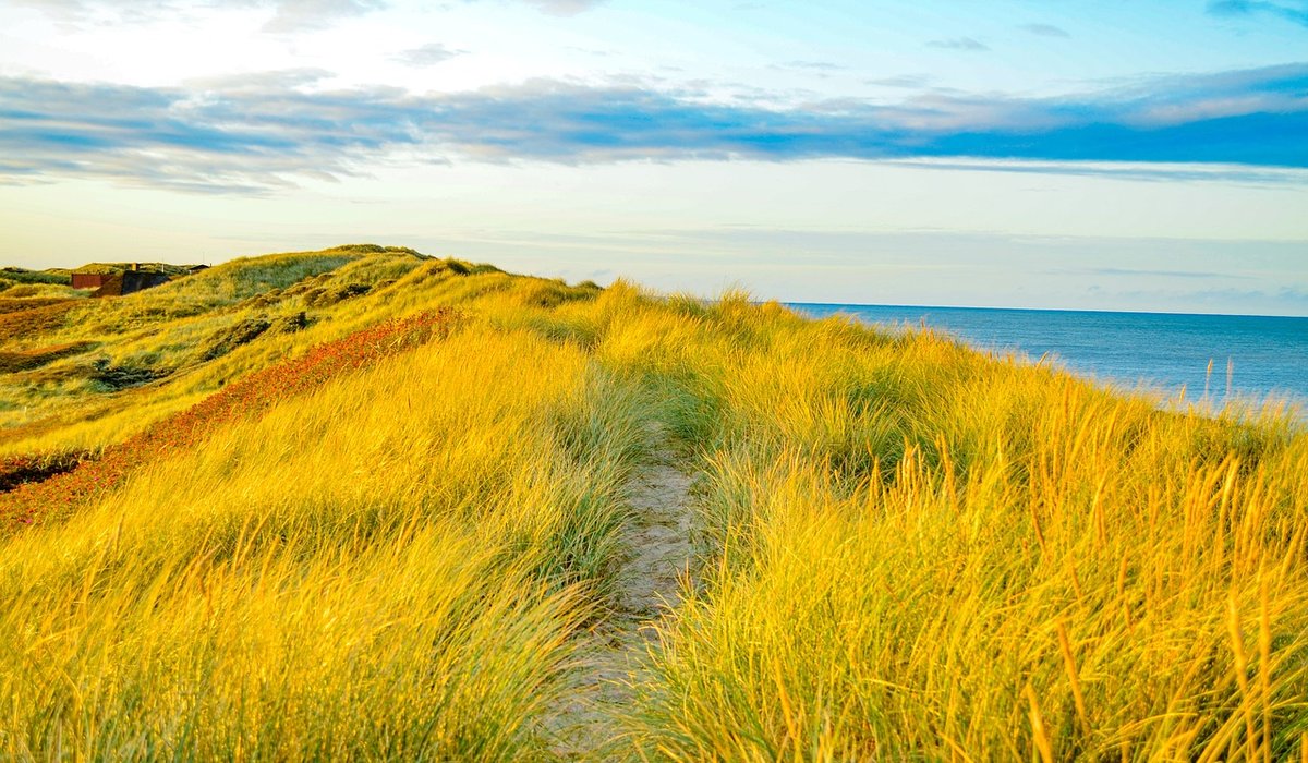Tide and Trail